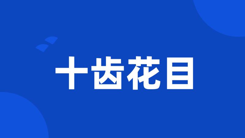 十齿花目