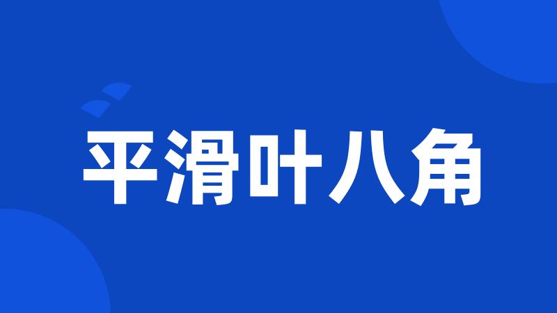 平滑叶八角