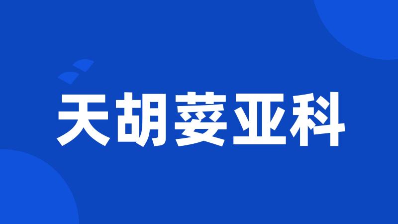 天胡荽亚科