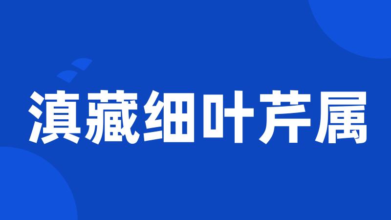 滇藏细叶芹属
