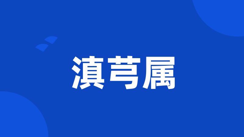 滇芎属