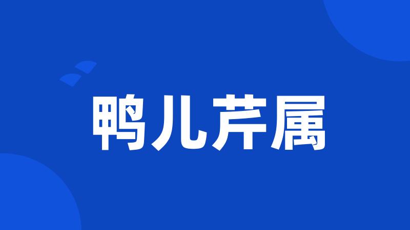 鸭儿芹属