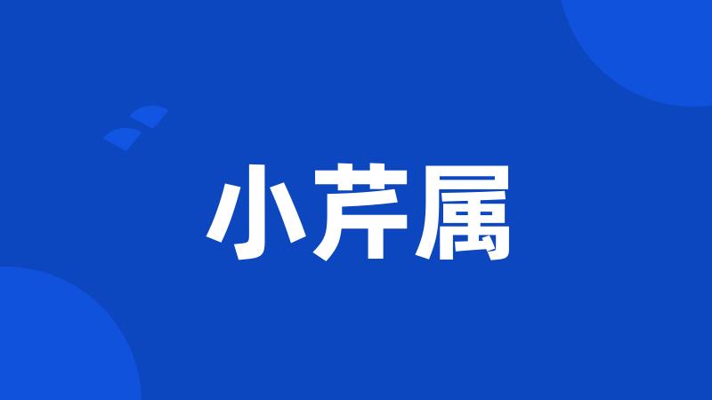 小芹属
