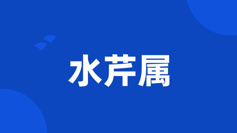 水芹属