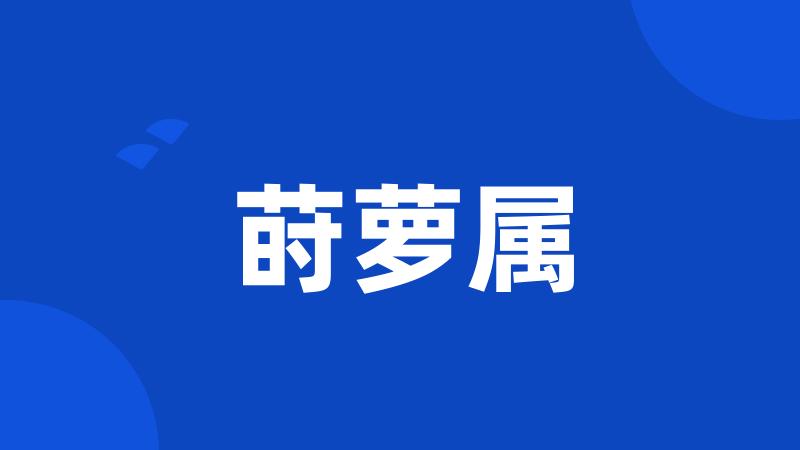 莳萝属
