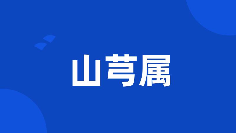 山芎属