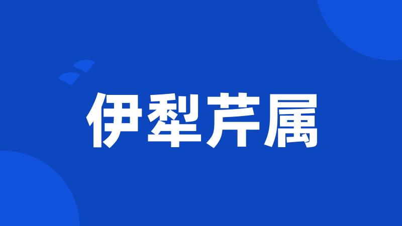 伊犁芹属