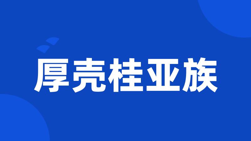 厚壳桂亚族