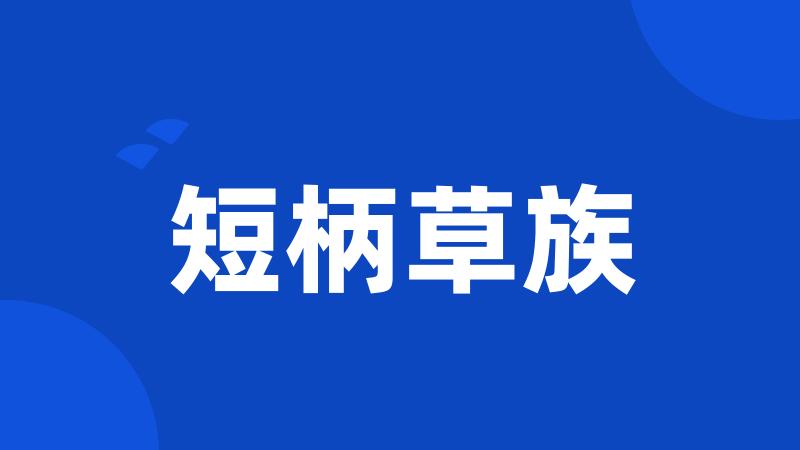 短柄草族
