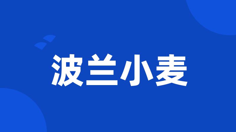 波兰小麦