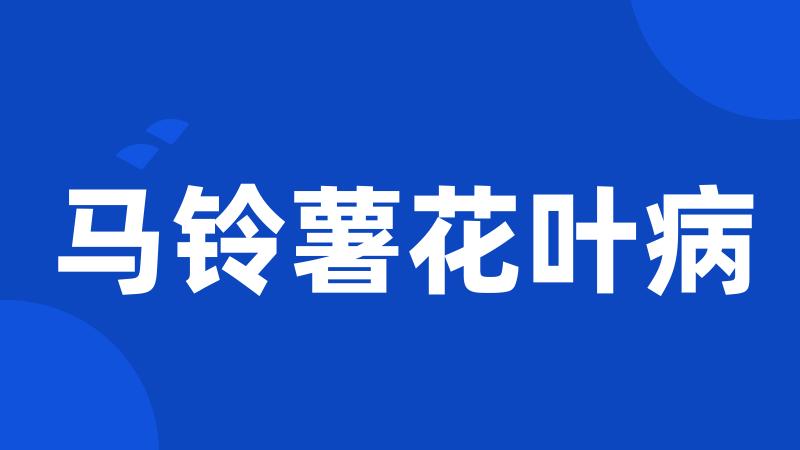 马铃薯花叶病