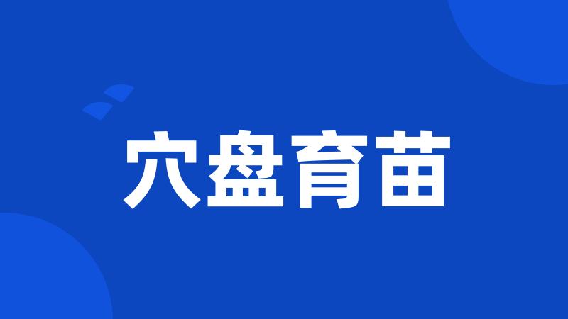 穴盘育苗