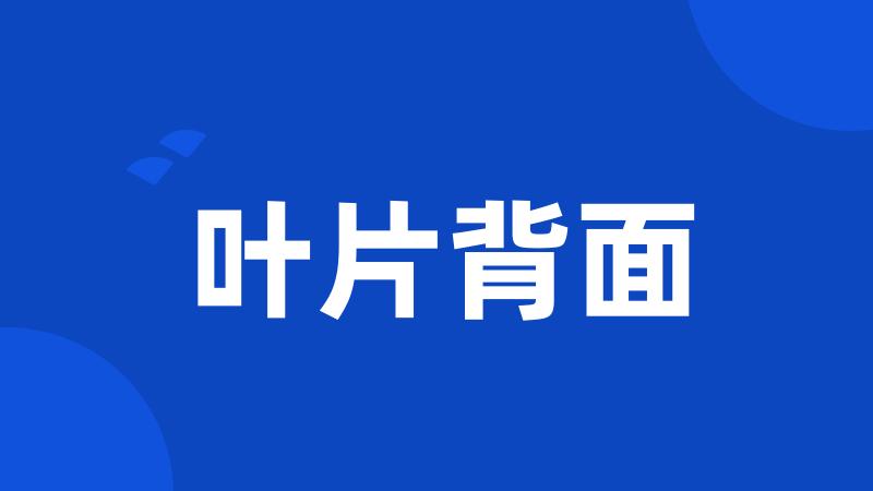 叶片背面