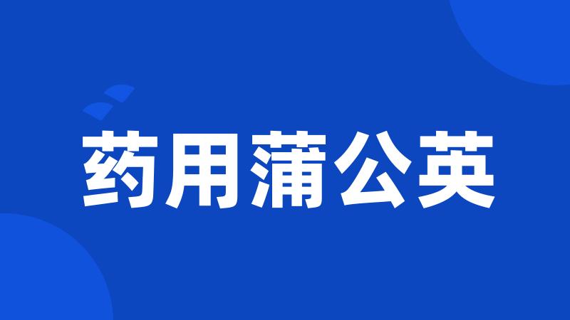 药用蒲公英