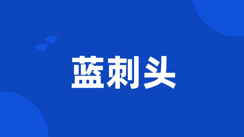 蓝刺头