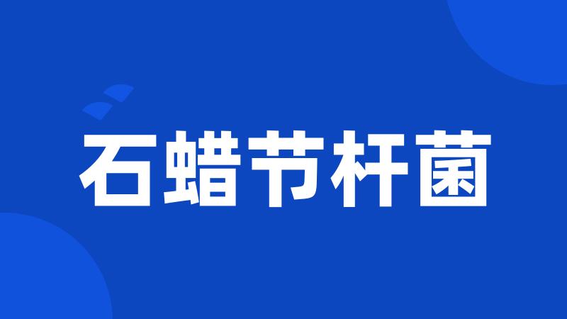 石蜡节杆菌