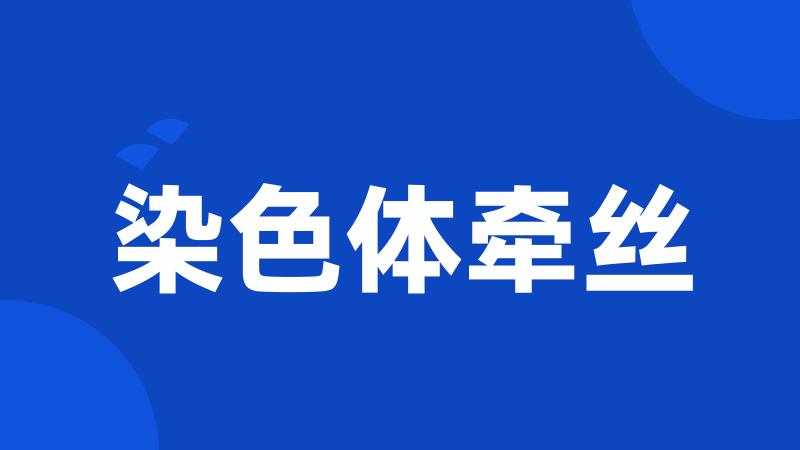 染色体牵丝