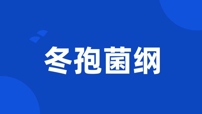 冬孢菌纲