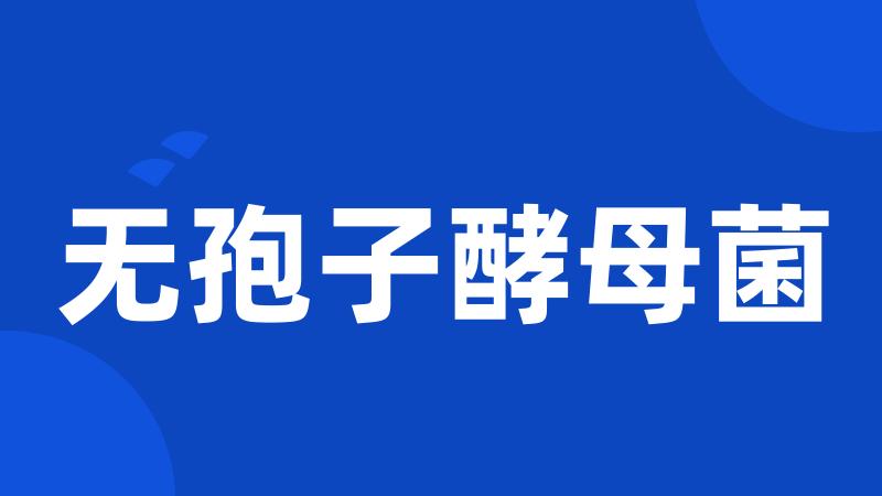 无孢子酵母菌