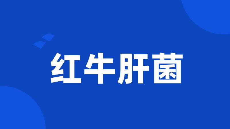 红牛肝菌