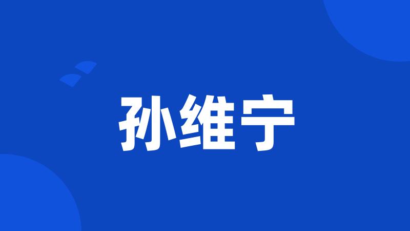 孙维宁
