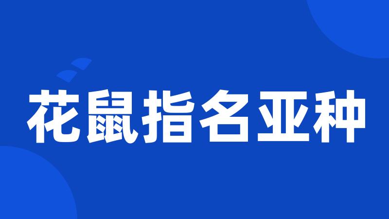 花鼠指名亚种