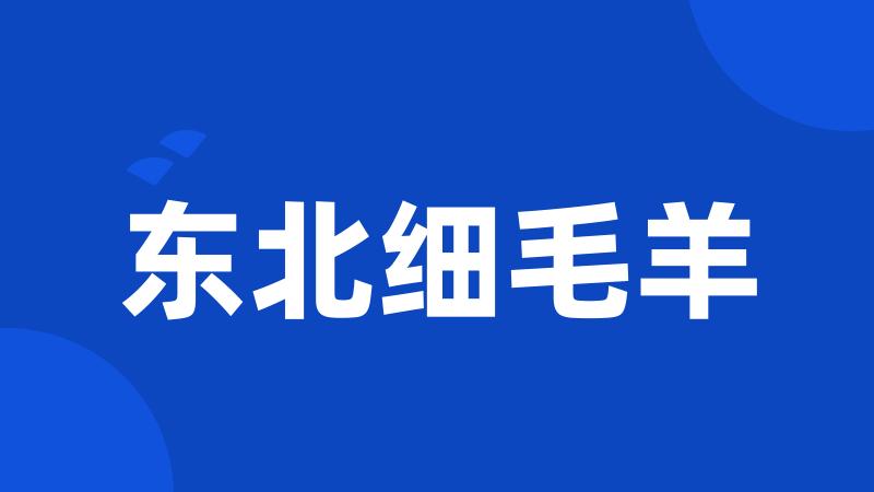 东北细毛羊