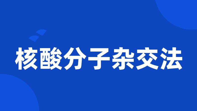 核酸分子杂交法