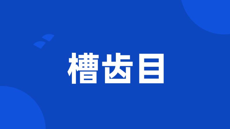 槽齿目