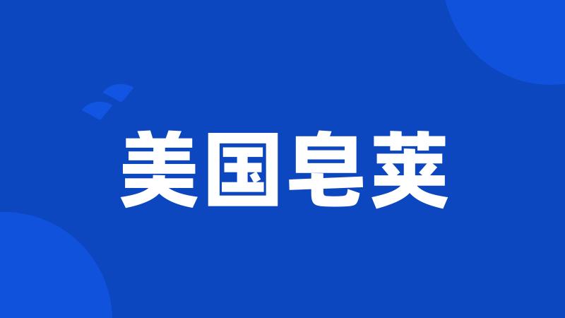 美国皂荚