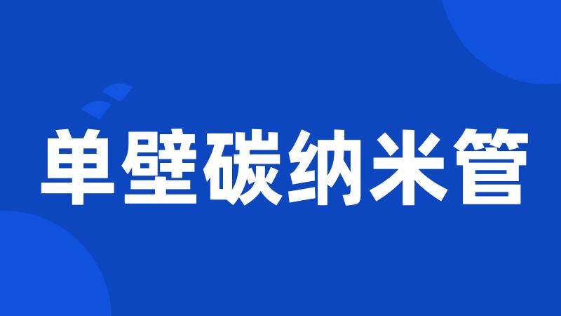 单壁碳纳米管