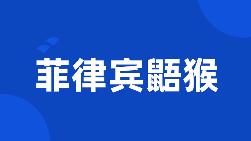 菲律宾鼯猴