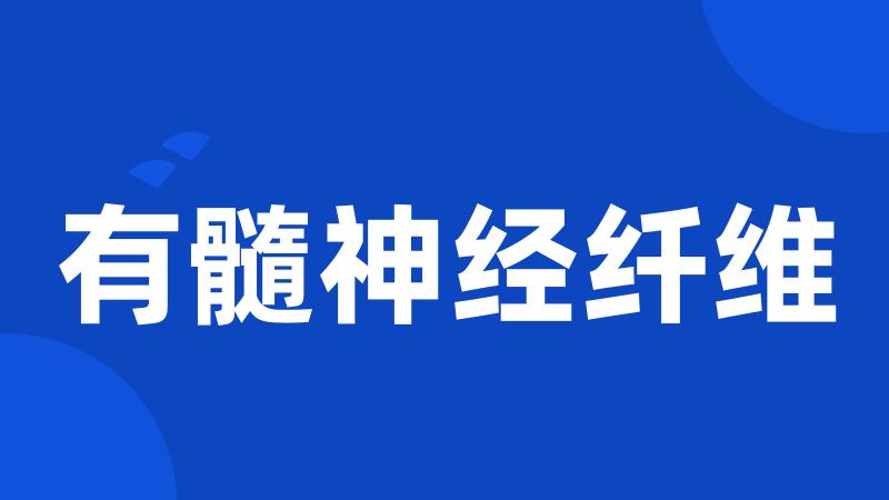 有髓神经纤维