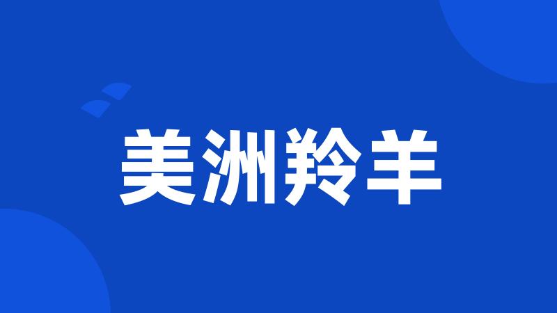 美洲羚羊