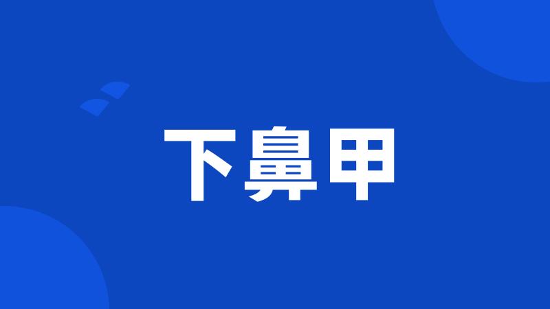 下鼻甲