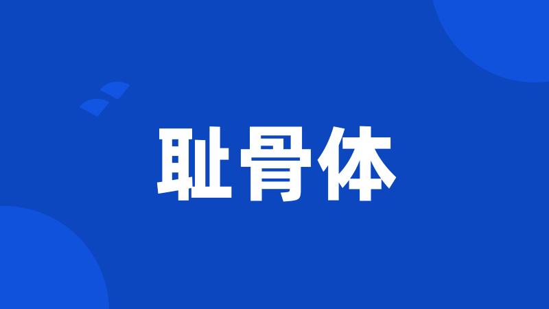 耻骨体