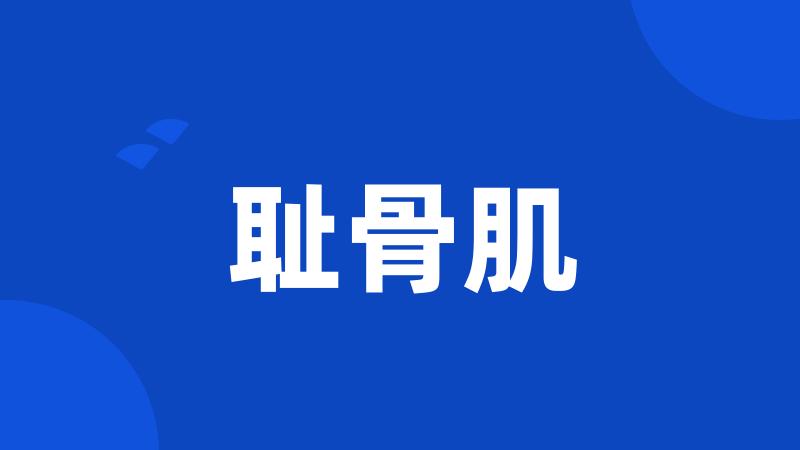耻骨肌