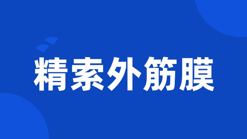 精索外筋膜