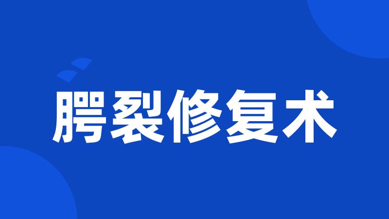 腭裂修复术