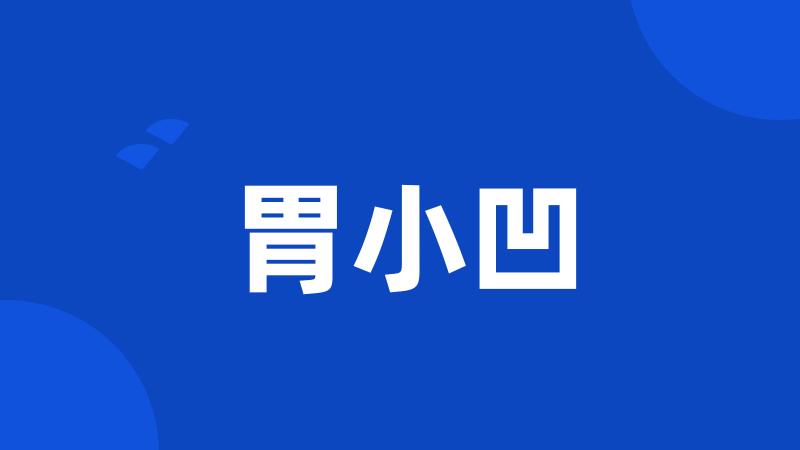 胃小凹