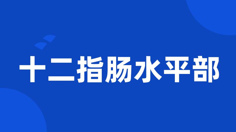 十二指肠水平部