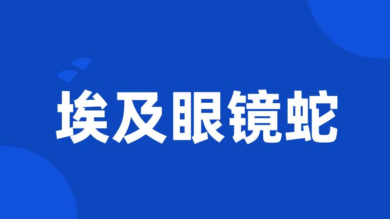 埃及眼镜蛇
