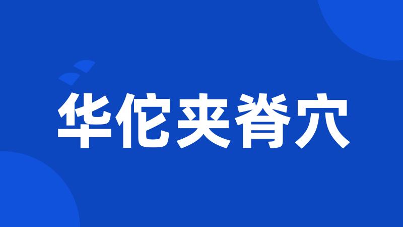 华佗夹脊穴