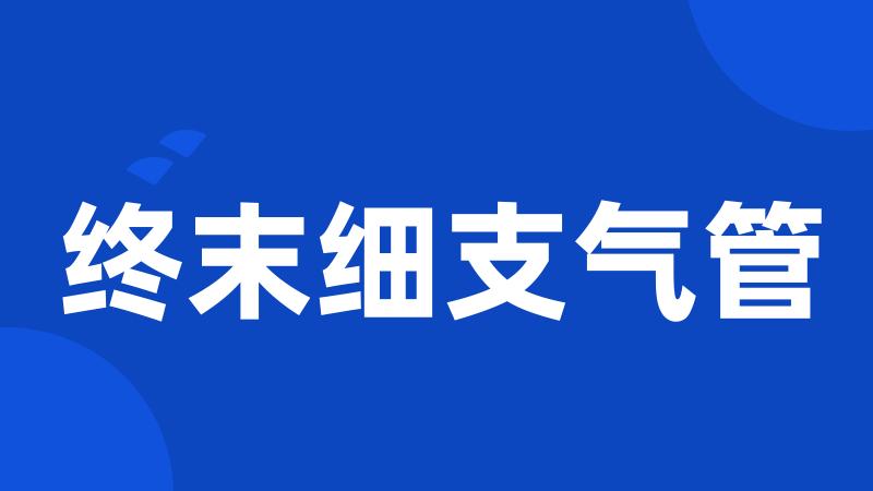 终末细支气管