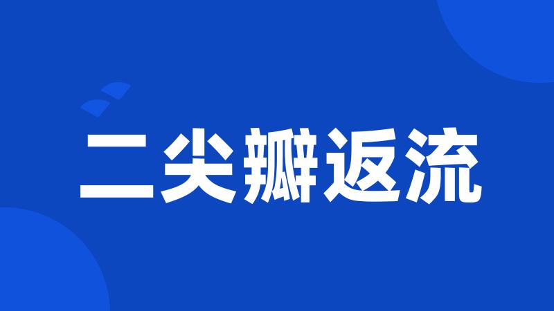 二尖瓣返流