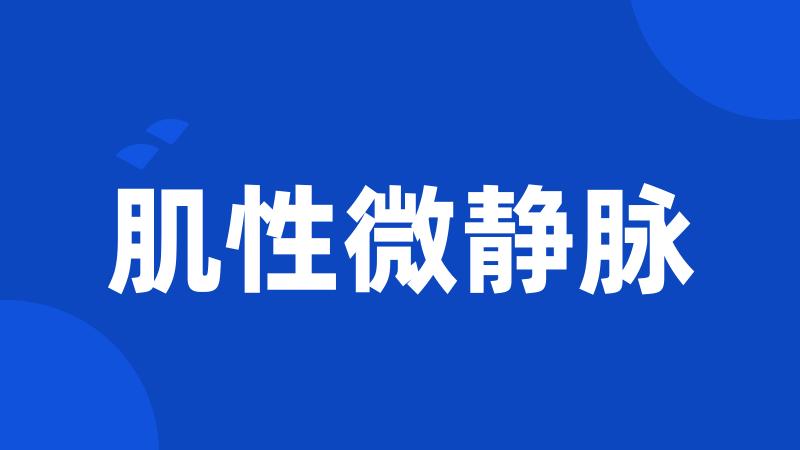 肌性微静脉