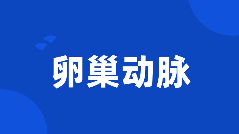 卵巢动脉