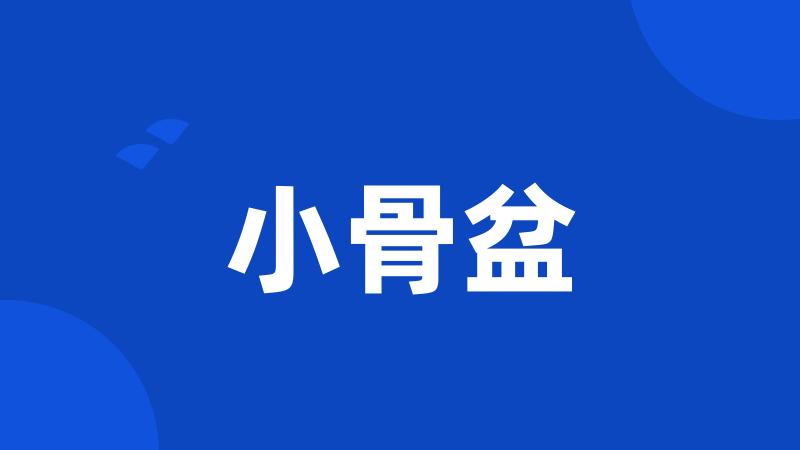 小骨盆