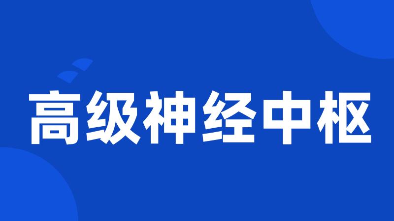 高级神经中枢