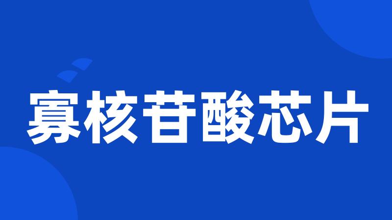 寡核苷酸芯片